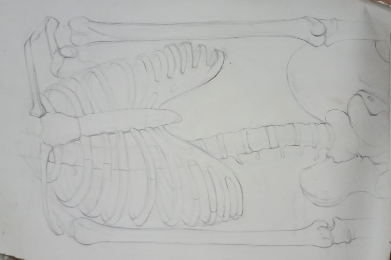 Figure Study — Year One