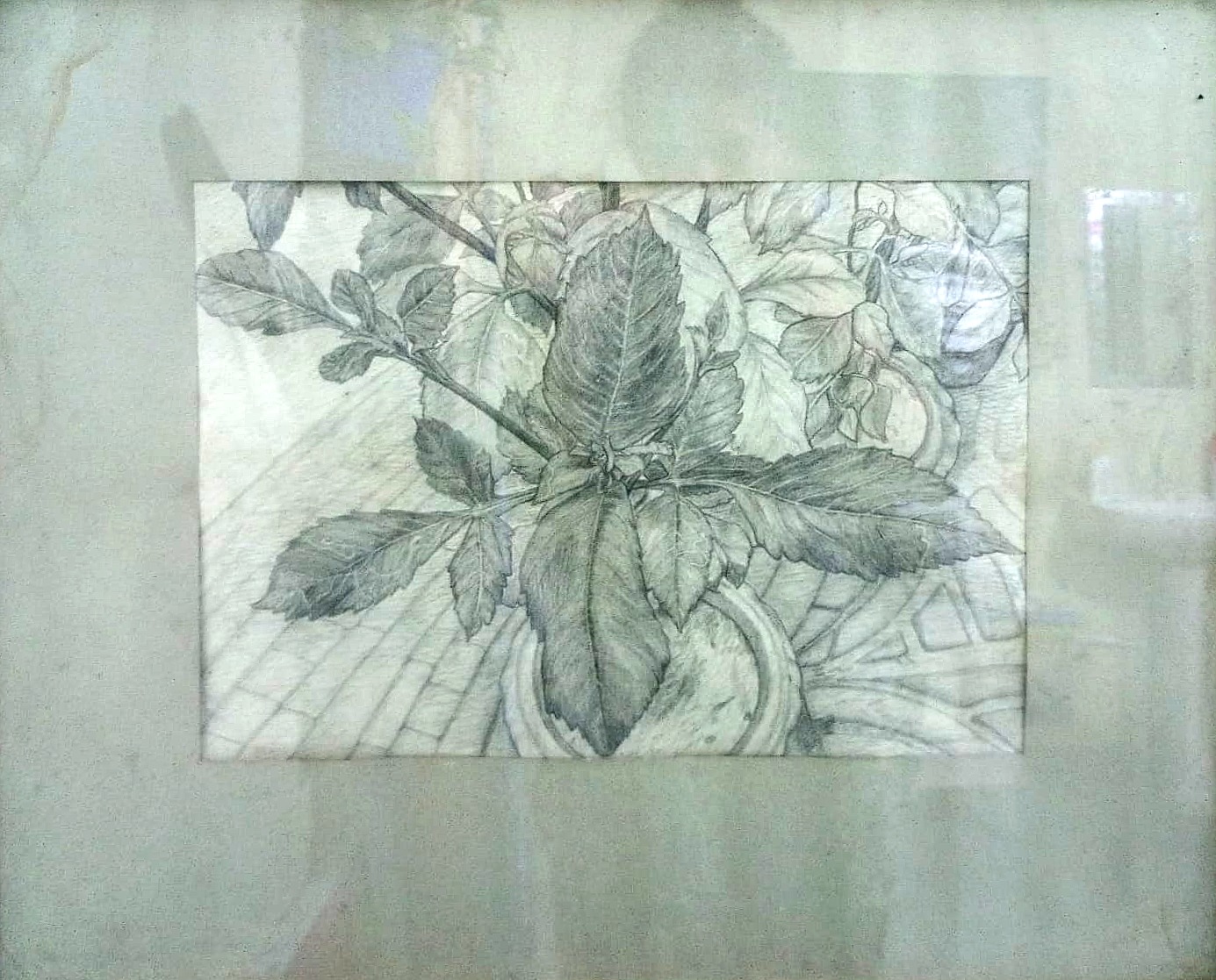Still Life — Year One