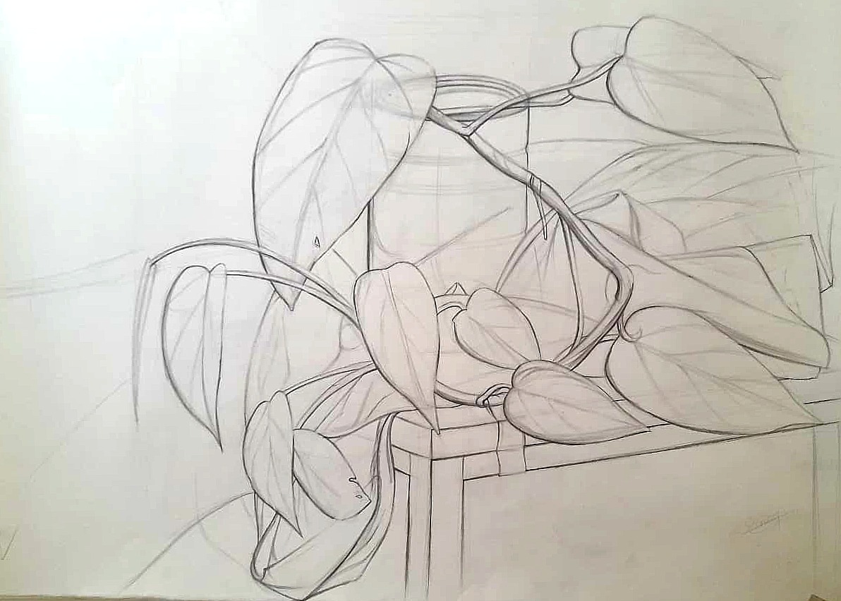Still Life — Year One